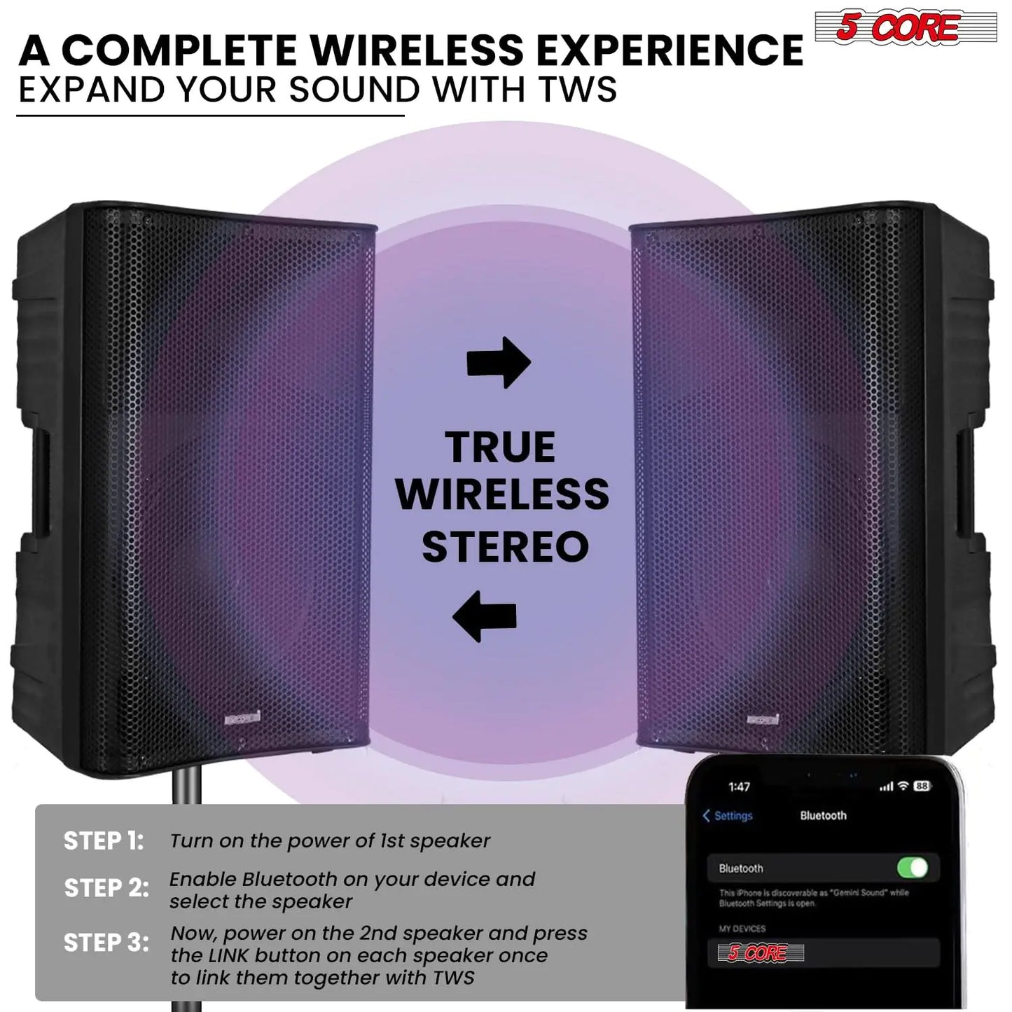Altavoz Bluetooth para fiestas 5Core DJ Sistema de megafonía para karaoke de 12 pulgadas + 2 micrófonos inalámbricos